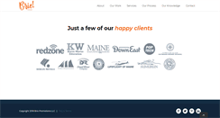 Desktop Screenshot of briopromotions.com